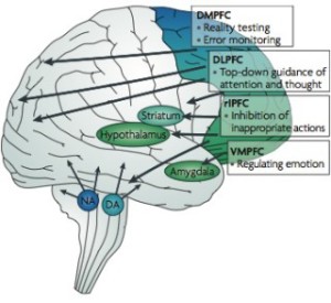 The 'Delicious Cycle' at work.